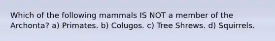 Which of the following mammals IS NOT a member of the Archonta? a) Primates. b) Colugos. c) Tree Shrews. d) Squirrels.