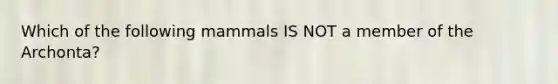 Which of the following mammals IS NOT a member of the Archonta?