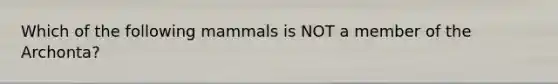 Which of the following mammals is NOT a member of the Archonta?