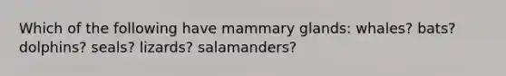 Which of the following have mammary glands: whales? bats? dolphins? seals? lizards? salamanders?