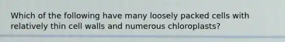 Which of the following have many loosely packed cells with relatively thin cell walls and numerous chloroplasts?
