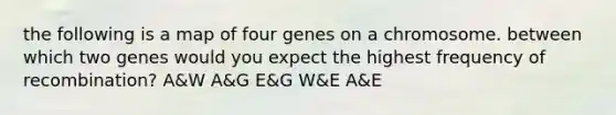 the following is a map of four genes on a chromosome. between which two genes would you expect the highest frequency of recombination? A&W A&G E&G W&E A&E