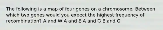 The following is a map of four genes on a chromosome. Between which two genes would you expect the highest frequency of recombination? A and W A and E A and G E and G