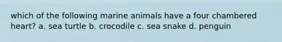 which of the following marine animals have a four chambered heart? a. sea turtle b. crocodile c. sea snake d. penguin