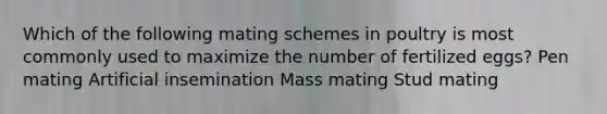 Which of the following mating schemes in poultry is most commonly used to maximize the number of fertilized eggs? Pen mating Artificial insemination Mass mating Stud mating