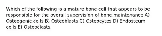 Which of the following is a mature bone cell that appears to be responsible for the overall supervision of bone maintenance A) Osteogenic cells B) Osteoblasts C) Osteocytes D) Endosteum cells E) Osteoclasts