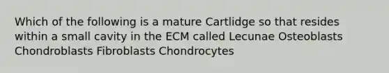 Which of the following is a mature Cartlidge so that resides within a small cavity in the ECM called Lecunae Osteoblasts Chondroblasts Fibroblasts Chondrocytes