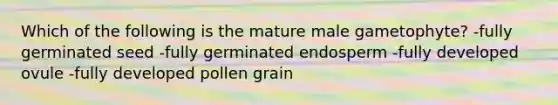 Which of the following is the mature male gametophyte? -fully germinated seed -fully germinated endosperm -fully developed ovule -fully developed pollen grain