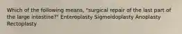 Which of the following means, "surgical repair of the last part of the large intestine?" Enteroplasty Sigmoidoplasty Anoplasty Rectoplasty