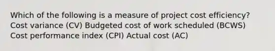 Which of the following is a measure of project cost efficiency? Cost variance (CV) Budgeted cost of work scheduled (BCWS) Cost performance index (CPI) Actual cost (AC)