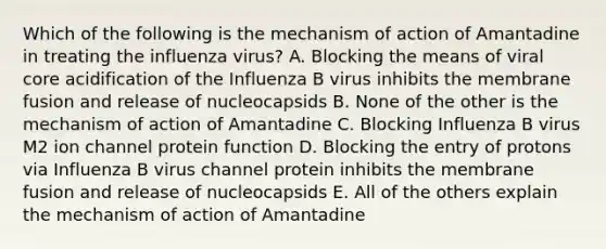 Which of the following is the mechanism of action of Amantadine in treating the influenza virus? A. Blocking the means of viral core acidification of the Influenza B virus inhibits the membrane fusion and release of nucleocapsids B. None of the other is the mechanism of action of Amantadine C. Blocking Influenza B virus M2 ion channel protein function D. Blocking the entry of protons via Influenza B virus channel protein inhibits the membrane fusion and release of nucleocapsids E. All of the others explain the mechanism of action of Amantadine