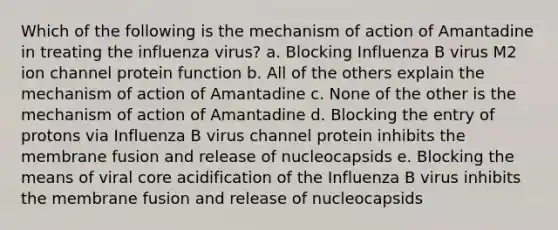 Which of the following is the mechanism of action of Amantadine in treating the influenza virus? a. Blocking Influenza B virus M2 ion channel protein function b. All of the others explain the mechanism of action of Amantadine c. None of the other is the mechanism of action of Amantadine d. Blocking the entry of protons via Influenza B virus channel protein inhibits the membrane fusion and release of nucleocapsids e. Blocking the means of viral core acidification of the Influenza B virus inhibits the membrane fusion and release of nucleocapsids