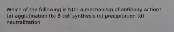 Which of the following is NOT a mechanism of antibody action? (a) agglutination (b) B cell synthesis (c) precipitation (d) neutralization