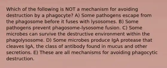 Which of the following is NOT a mechanism for avoiding destruction by a phagocyte? A) Some pathogens escape from the phagosome before it fuses with lysosomes. B) Some pathogens prevent phagosome-lysosome fusion. C) Some microbes can survive the destructive environment within the phagolysosome. D) Some microbes produce IgA protease that cleaves IgA, the class of antibody found in mucus and other secretions. E) These are all mechanisms for avoiding phagocytic destruction.