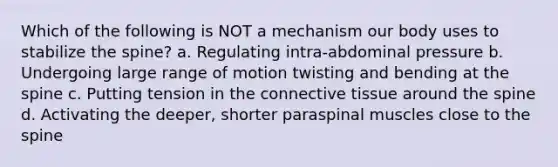 Which of the following is NOT a mechanism our body uses to stabilize the spine? a. Regulating intra-abdominal pressure b. Undergoing large range of motion twisting and bending at the spine c. Putting tension in the connective tissue around the spine d. Activating the deeper, shorter paraspinal muscles close to the spine