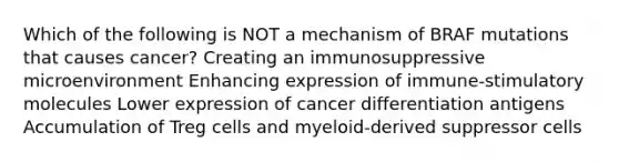 Which of the following is NOT a mechanism of BRAF mutations that causes cancer? Creating an immunosuppressive microenvironment Enhancing expression of immune-stimulatory molecules Lower expression of cancer differentiation antigens Accumulation of Treg cells and myeloid-derived suppressor cells