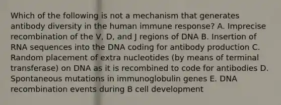 Which of the following is not a mechanism that generates antibody diversity in the human immune response? A. Imprecise recombination of the V, D, and J regions of DNA B. Insertion of RNA sequences into the DNA coding for antibody production C. Random placement of extra nucleotides (by means of terminal transferase) on DNA as it is recombined to code for antibodies D. Spontaneous mutations in immunoglobulin genes E. DNA recombination events during B cell development