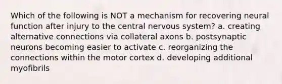 Which of the following is NOT a mechanism for recovering neural function after injury to the <a href='https://www.questionai.com/knowledge/kMmgwYXzPv-central-nervous-system' class='anchor-knowledge'>central nervous system</a>? a. creating alternative connections via collateral axons b. postsynaptic neurons becoming easier to activate c. reorganizing the connections within the motor cortex d. developing additional myofibrils