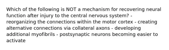 Which of the following is NOT a mechanism for recovering neural function after injury to the central nervous system? - reorganizing the connections within the motor cortex - creating alternative connections via collateral axons - developing additional myofibrils - postsynaptic neurons becoming easier to activate