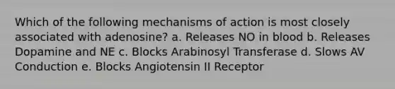 Which of the following mechanisms of action is most closely associated with adenosine? a. Releases NO in blood b. Releases Dopamine and NE c. Blocks Arabinosyl Transferase d. Slows AV Conduction e. Blocks Angiotensin II Receptor