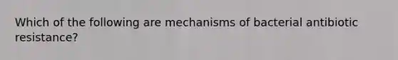 Which of the following are mechanisms of bacterial antibiotic resistance?