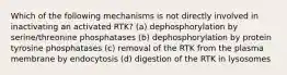 Which of the following mechanisms is not directly involved in inactivating an activated RTK? (a) dephosphorylation by serine/threonine phosphatases (b) dephosphorylation by protein tyrosine phosphatases (c) removal of the RTK from the plasma membrane by endocytosis (d) digestion of the RTK in lysosomes