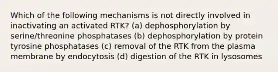 Which of the following mechanisms is not directly involved in inactivating an activated RTK? (a) dephosphorylation by serine/threonine phosphatases (b) dephosphorylation by protein tyrosine phosphatases (c) removal of the RTK from the plasma membrane by endocytosis (d) digestion of the RTK in lysosomes