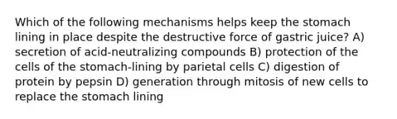 Which of the following mechanisms helps keep the stomach lining in place despite the destructive force of gastric juice? A) secretion of acid-neutralizing compounds B) protection of the cells of the stomach-lining by parietal cells C) digestion of protein by pepsin D) generation through mitosis of new cells to replace the stomach lining