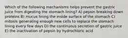 Which of the following mechanisms helps prevent the gastric juice from digesting the stomach lining? A) pepsin breaking down proteins B) mucus lining the inside surface of the stomach C) mitosis generating enough new cells to replace the stomach lining every few days D) the continuous secretion of gastric juice E) the inactivation of pepsin by hydrochloric acid