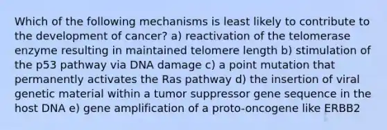 Which of the following mechanisms is least likely to contribute to the development of cancer? a) reactivation of the telomerase enzyme resulting in maintained telomere length b) stimulation of the p53 pathway via DNA damage c) a point mutation that permanently activates the Ras pathway d) the insertion of viral genetic material within a tumor suppressor gene sequence in the host DNA e) gene amplification of a proto-oncogene like ERBB2