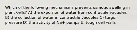 Which of the following mechanisms prevents osmotic swelling in plant cells? A) the expulsion of water from contractile vacuoles B) the collection of water in contractile vacuoles C) turgor pressure D) the activity of Na+ pumps E) tough cell walls