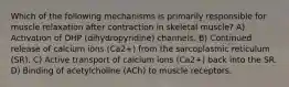 Which of the following mechanisms is primarily responsible for muscle relaxation after contraction in skeletal muscle? A) Activation of DHP (dihydropyridine) channels. B) Continued release of calcium ions (Ca2+) from the sarcoplasmic reticulum (SR). C) Active transport of calcium ions (Ca2+) back into the SR. D) Binding of acetylcholine (ACh) to muscle receptors.