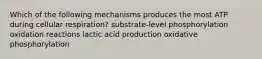 Which of the following mechanisms produces the most ATP during cellular respiration? substrate-level phosphorylation oxidation reactions lactic acid production oxidative phosphorylation