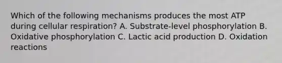 Which of the following mechanisms produces the most ATP during <a href='https://www.questionai.com/knowledge/k1IqNYBAJw-cellular-respiration' class='anchor-knowledge'>cellular respiration</a>? A. Substrate-level phosphorylation B. <a href='https://www.questionai.com/knowledge/kFazUb9IwO-oxidative-phosphorylation' class='anchor-knowledge'>oxidative phosphorylation</a> C. Lactic acid production D. Oxidation reactions