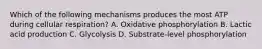 Which of the following mechanisms produces the most ATP during cellular respiration? A. Oxidative phosphorylation B. Lactic acid production C. Glycolysis D. Substrate-level phosphorylation