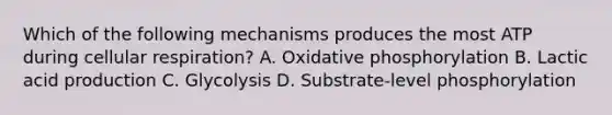 Which of the following mechanisms produces the most ATP during cellular respiration? A. Oxidative phosphorylation B. Lactic acid production C. Glycolysis D. Substrate-level phosphorylation