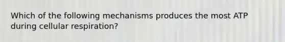 Which of the following mechanisms produces the most ATP during cellular respiration?