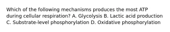 Which of the following mechanisms produces the most ATP during cellular respiration? A. Glycolysis B. Lactic acid production C. Substrate-level phosphorylation D. Oxidative phosphorylation