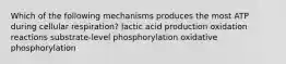 Which of the following mechanisms produces the most ATP during cellular respiration? lactic acid production oxidation reactions substrate-level phosphorylation oxidative phosphorylation