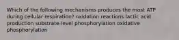 Which of the following mechanisms produces the most ATP during cellular respiration? oxidation reactions lactic acid production substrate-level phosphorylation oxidative phosphorylation