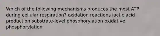 Which of the following mechanisms produces the most ATP during cellular respiration? oxidation reactions lactic acid production substrate-level phosphorylation <a href='https://www.questionai.com/knowledge/kFazUb9IwO-oxidative-phosphorylation' class='anchor-knowledge'>oxidative phosphorylation</a>