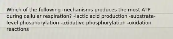 Which of the following mechanisms produces the most ATP during cellular respiration? -lactic acid production -substrate-level phosphorylation -<a href='https://www.questionai.com/knowledge/kFazUb9IwO-oxidative-phosphorylation' class='anchor-knowledge'>oxidative phosphorylation</a> -oxidation reactions