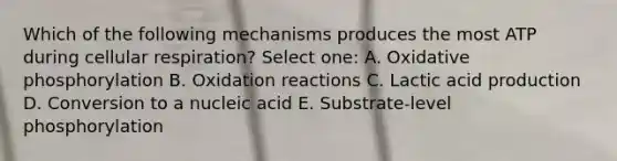 Which of the following mechanisms produces the most ATP during cellular respiration? Select one: A. <a href='https://www.questionai.com/knowledge/kFazUb9IwO-oxidative-phosphorylation' class='anchor-knowledge'>oxidative phosphorylation</a> B. Oxidation reactions C. Lactic acid production D. Conversion to a nucleic acid E. Substrate-level phosphorylation