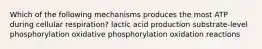 Which of the following mechanisms produces the most ATP during cellular respiration? lactic acid production substrate-level phosphorylation oxidative phosphorylation oxidation reactions