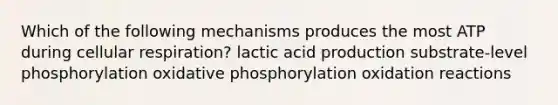 Which of the following mechanisms produces the most ATP during cellular respiration? lactic acid production substrate-level phosphorylation oxidative phosphorylation oxidation reactions