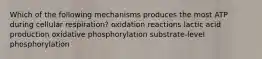 Which of the following mechanisms produces the most ATP during cellular respiration? oxidation reactions lactic acid production oxidative phosphorylation substrate-level phosphorylation