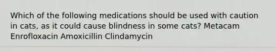 Which of the following medications should be used with caution in cats, as it could cause blindness in some cats? Metacam Enrofloxacin Amoxicillin Clindamycin