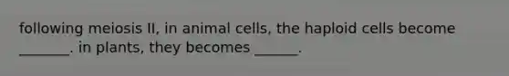 following meiosis II, in animal cells, the haploid cells become _______. in plants, they becomes ______.