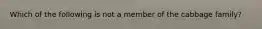 Which of the following is not a member of the cabbage family?
