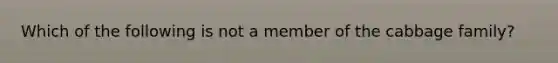 Which of the following is not a member of the cabbage family?